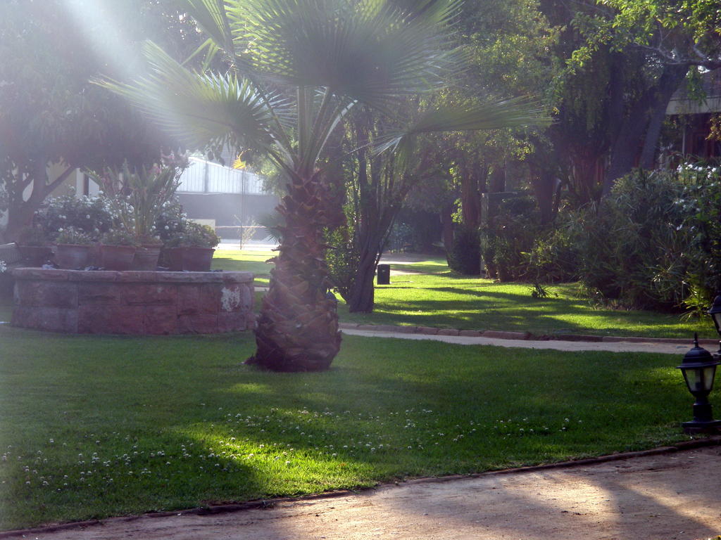 Hotel El Copihue Olmué Exteriér fotografie